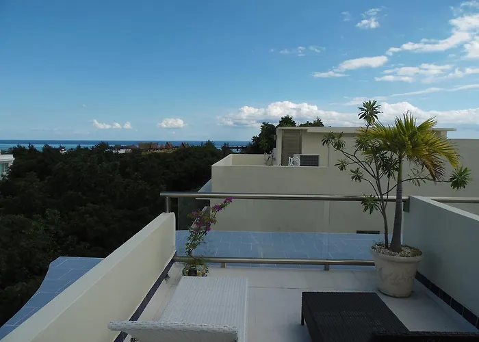 Aparthotel Mimosa Tree 3*