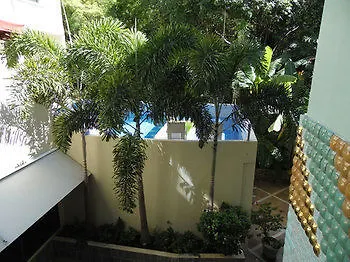 Mimosa Tree 3*