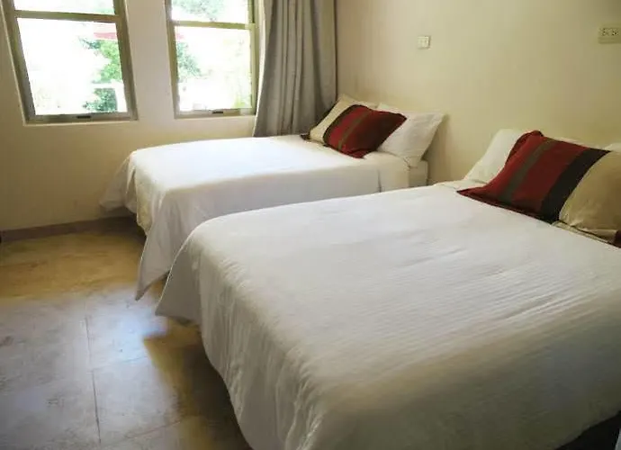 Aparthotel Mimosa Tree 3*